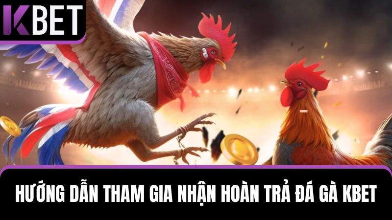 cách tham gia hoàn trả đá gà KBET
