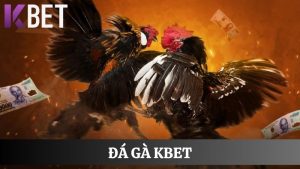 đá gà KBET